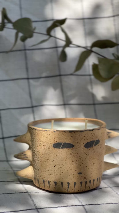 THE ANIMA & ANIMUS IV